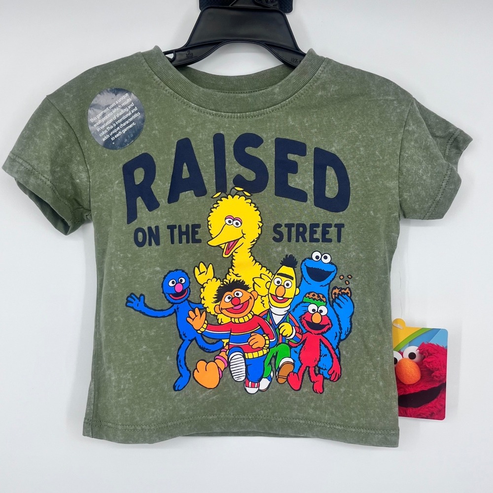 NWT Sesame Street T-Shirt Kids 12M Green Raised On The Street Mineral Wash